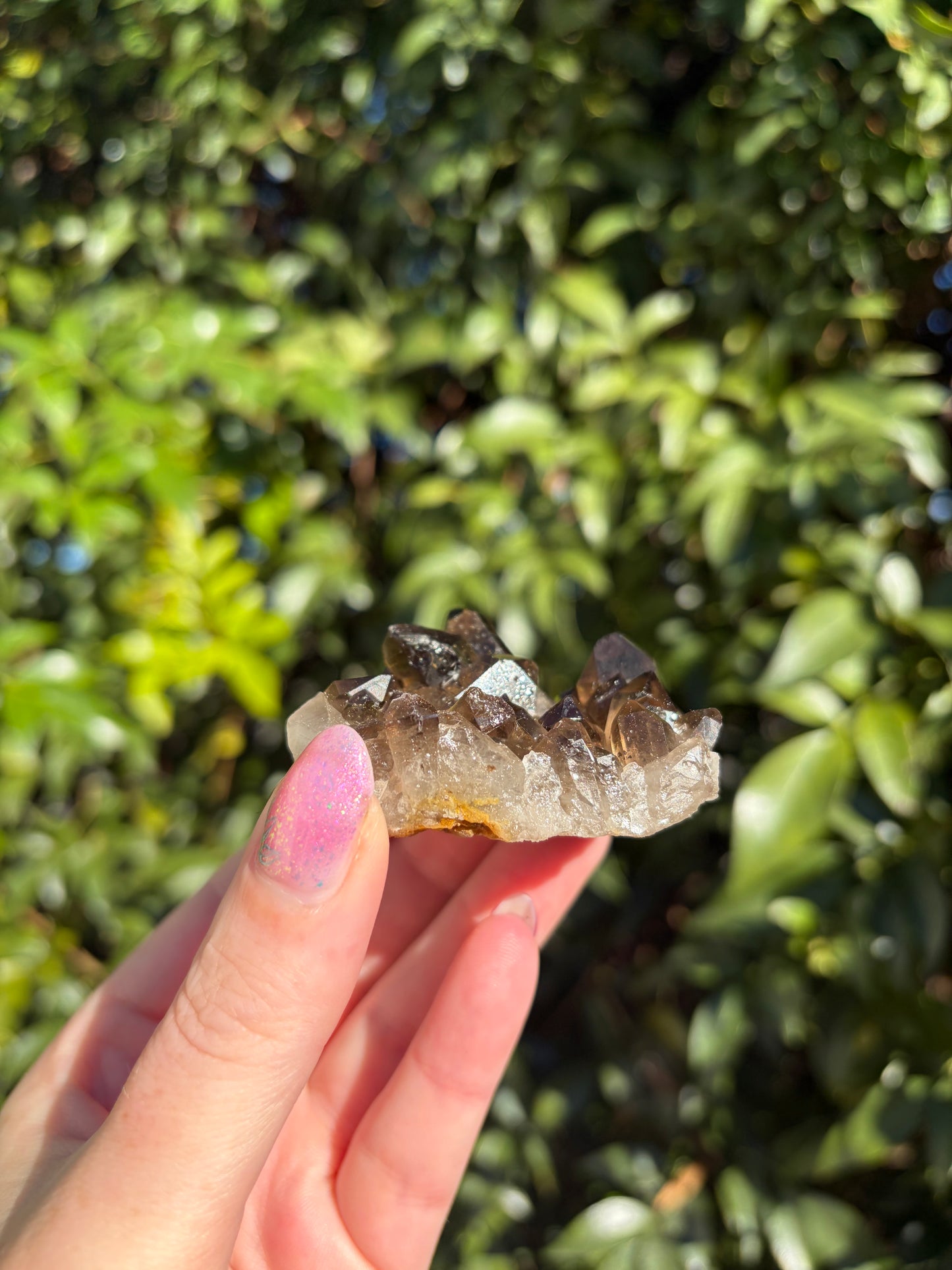 Smoky Quartz Cluster D