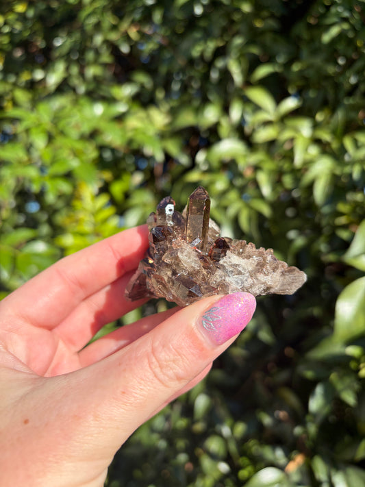 Smoky Quartz Cluster E