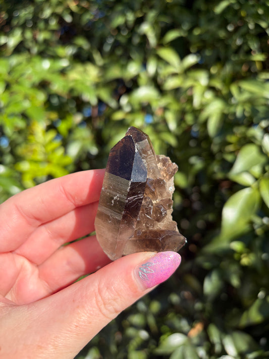 Smoky Quartz Cluster F
