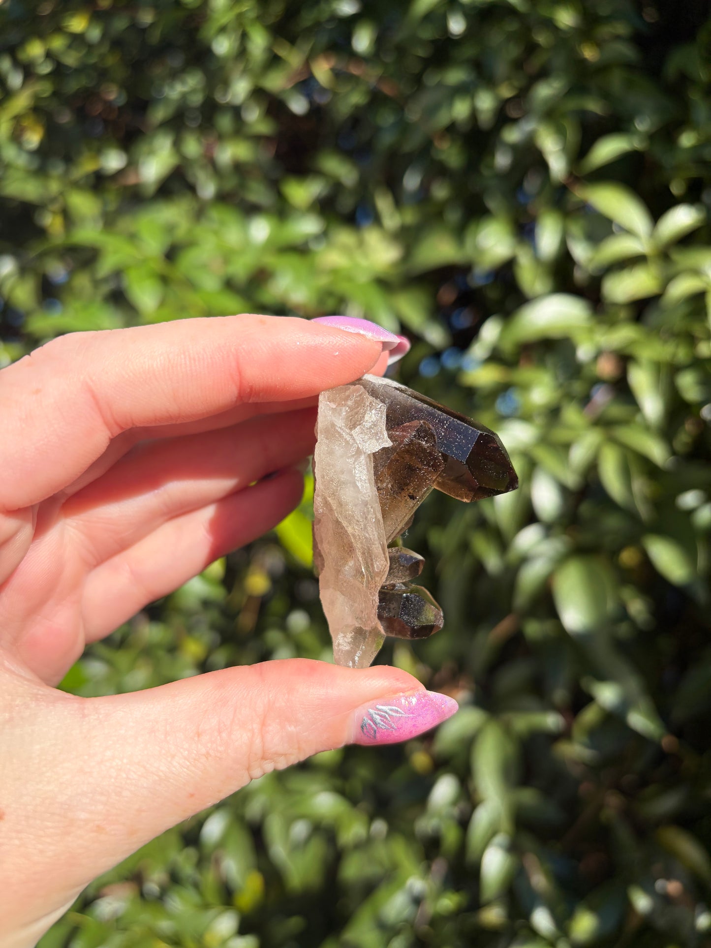 Smoky Quartz Cluster G