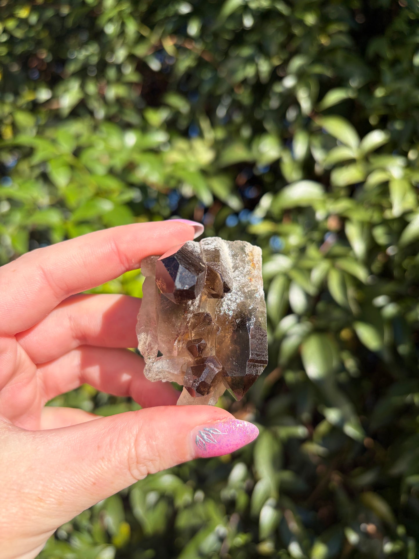 Smoky Quartz Cluster G