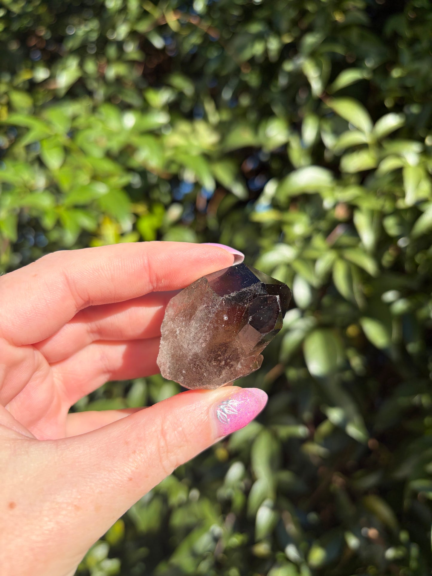 Smoky Quartz Cluster H