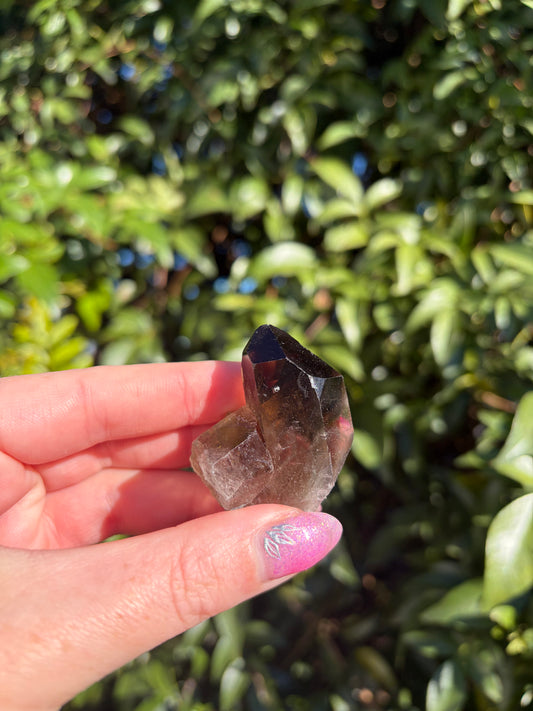 Smoky Quartz Cluster H