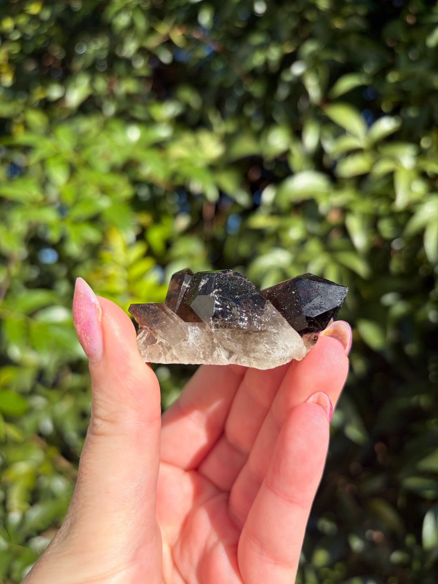 Smoky Quartz Cluster i