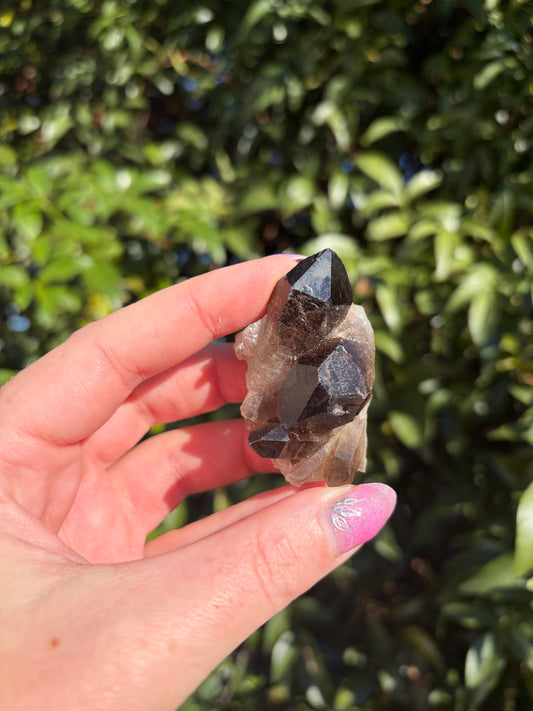 Smoky Quartz Cluster i