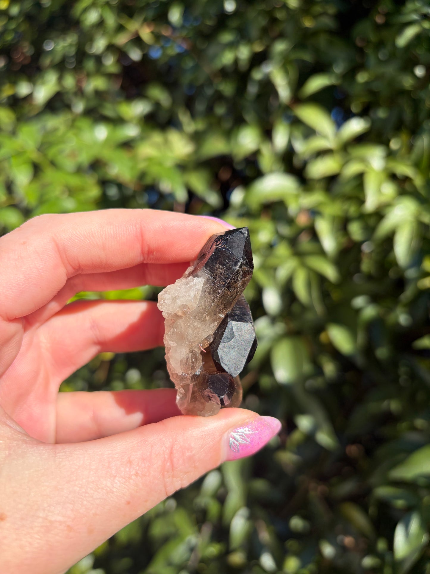 Smoky Quartz Cluster i