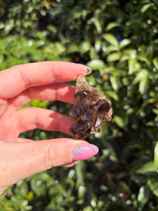 Smoky Quartz Cluster J