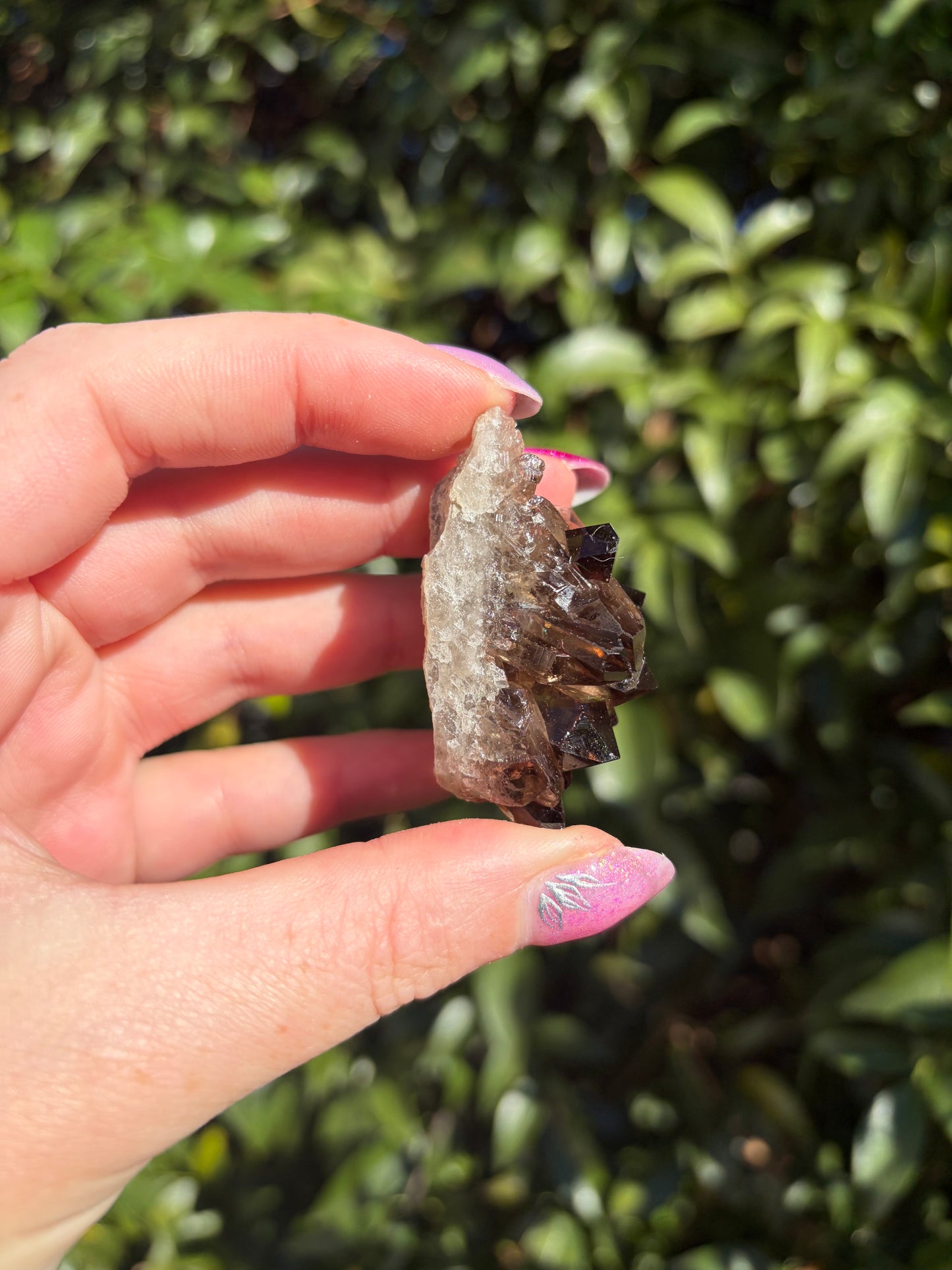 Smoky Quartz Cluster J