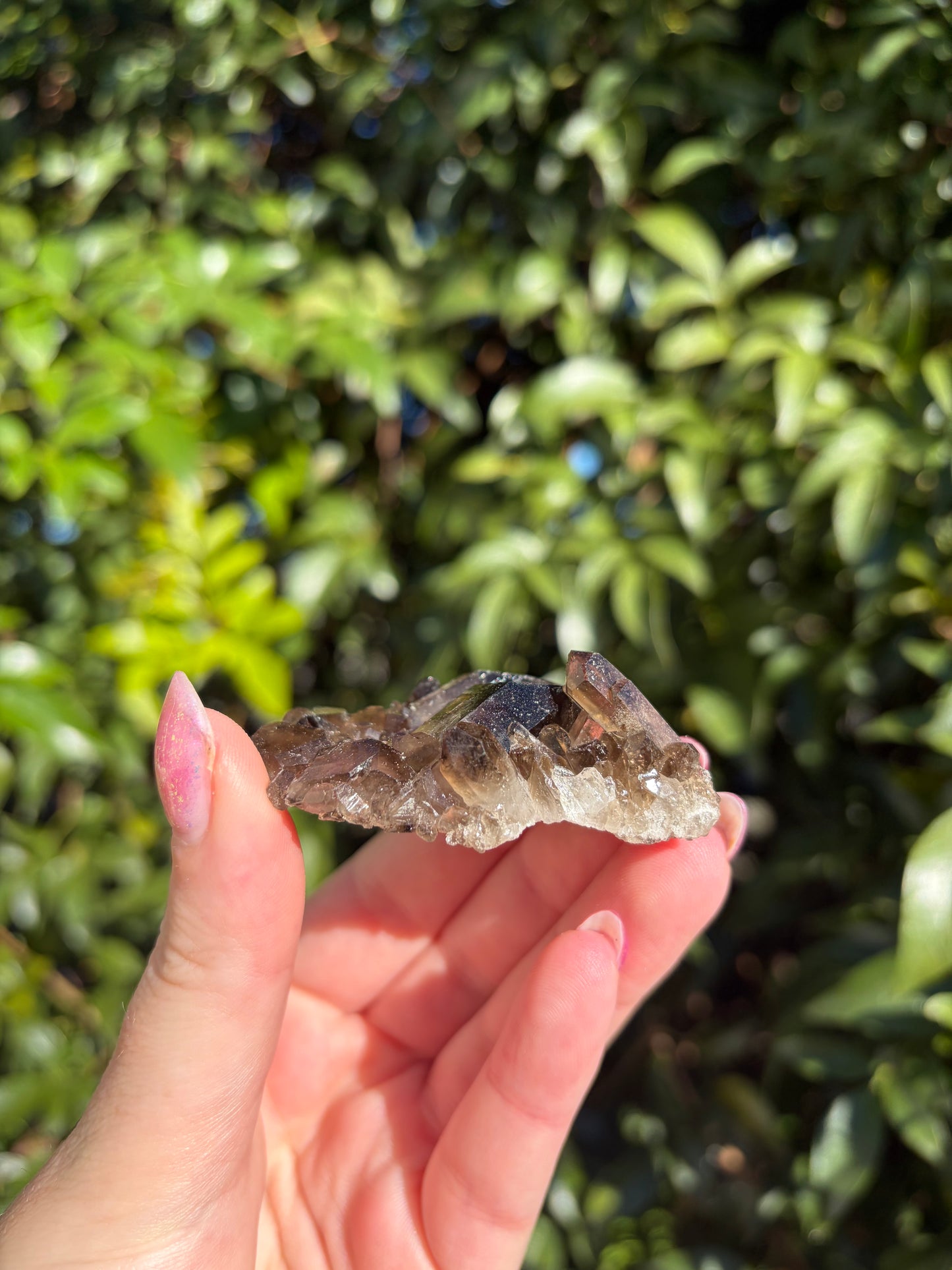 Smoky Quartz Cluster K