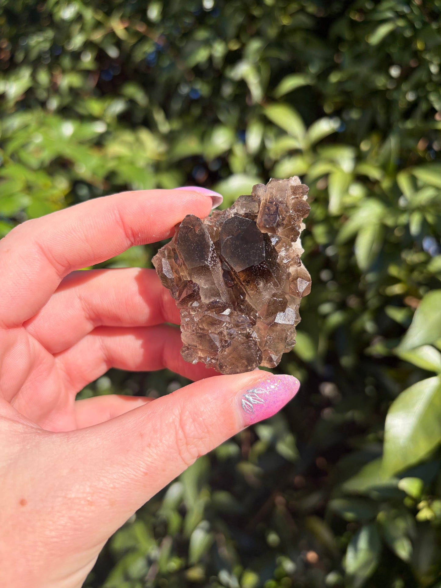 Smoky Quartz Cluster K