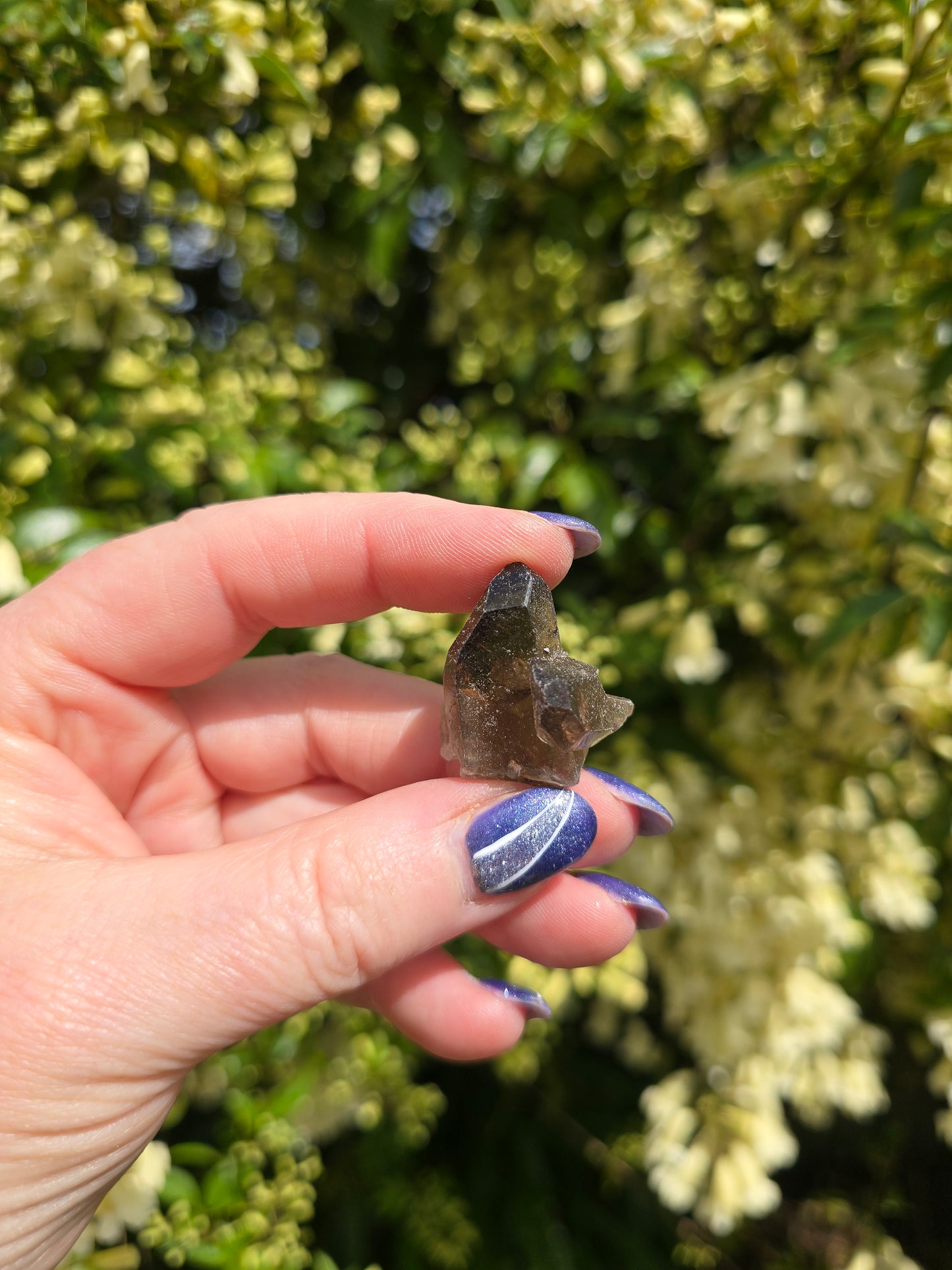 Smoky Quartz Small Cluster
