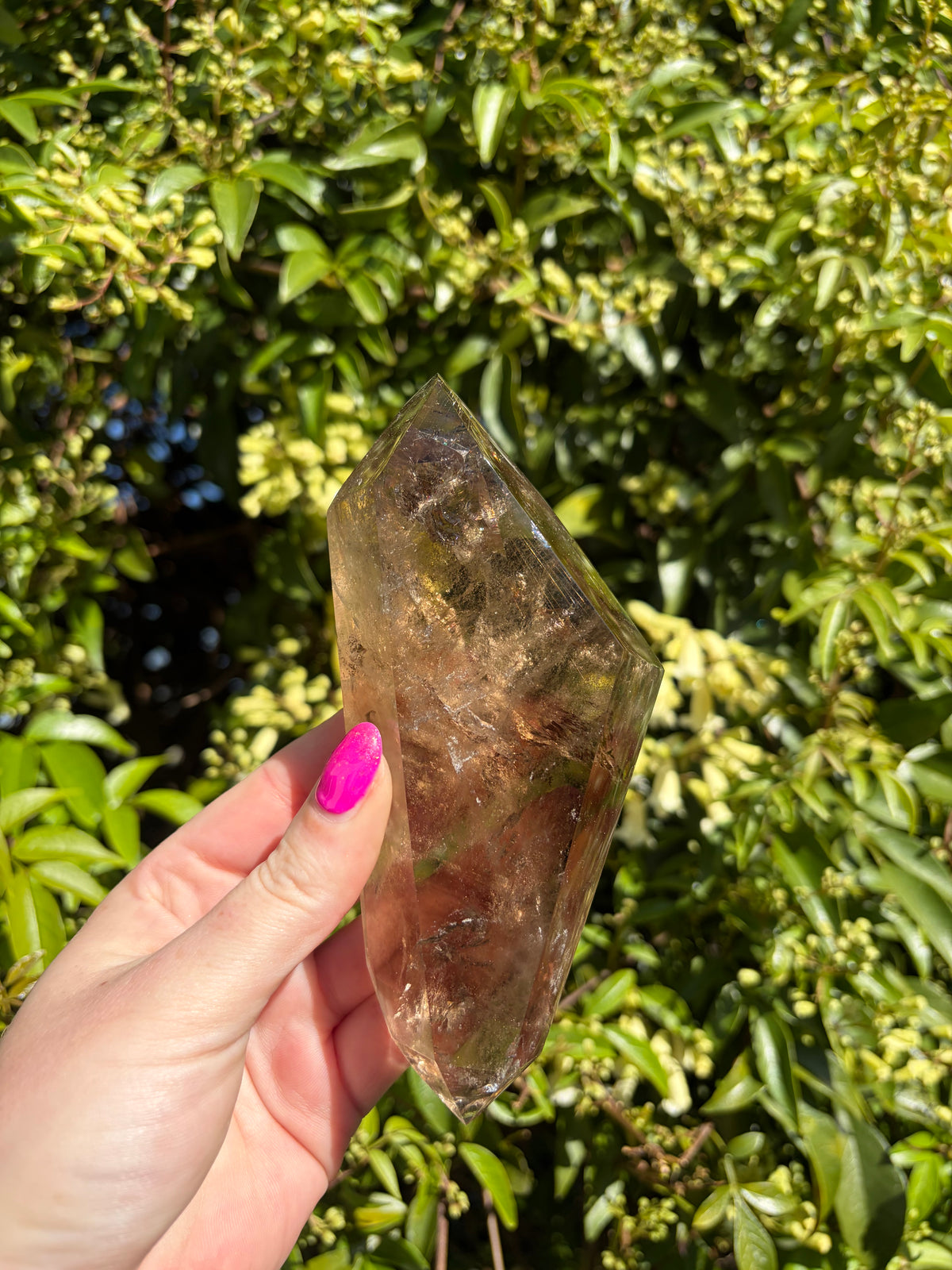 Smoky & Rutilated Quartz Double Terminated Point A
