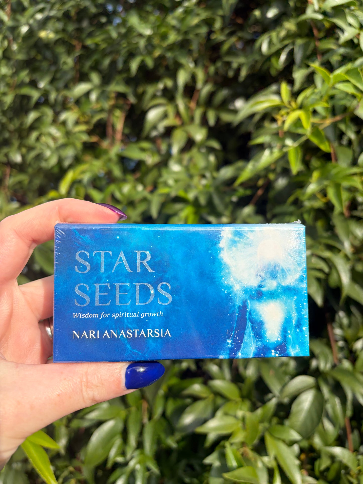 Star Seed Cards
