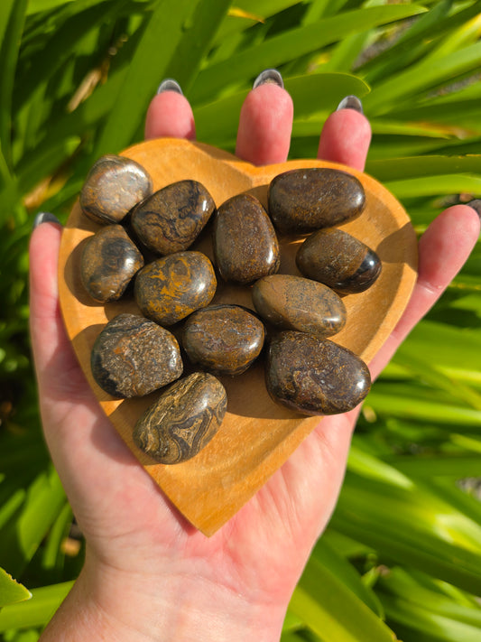 Stromatolite Tumbled Stone