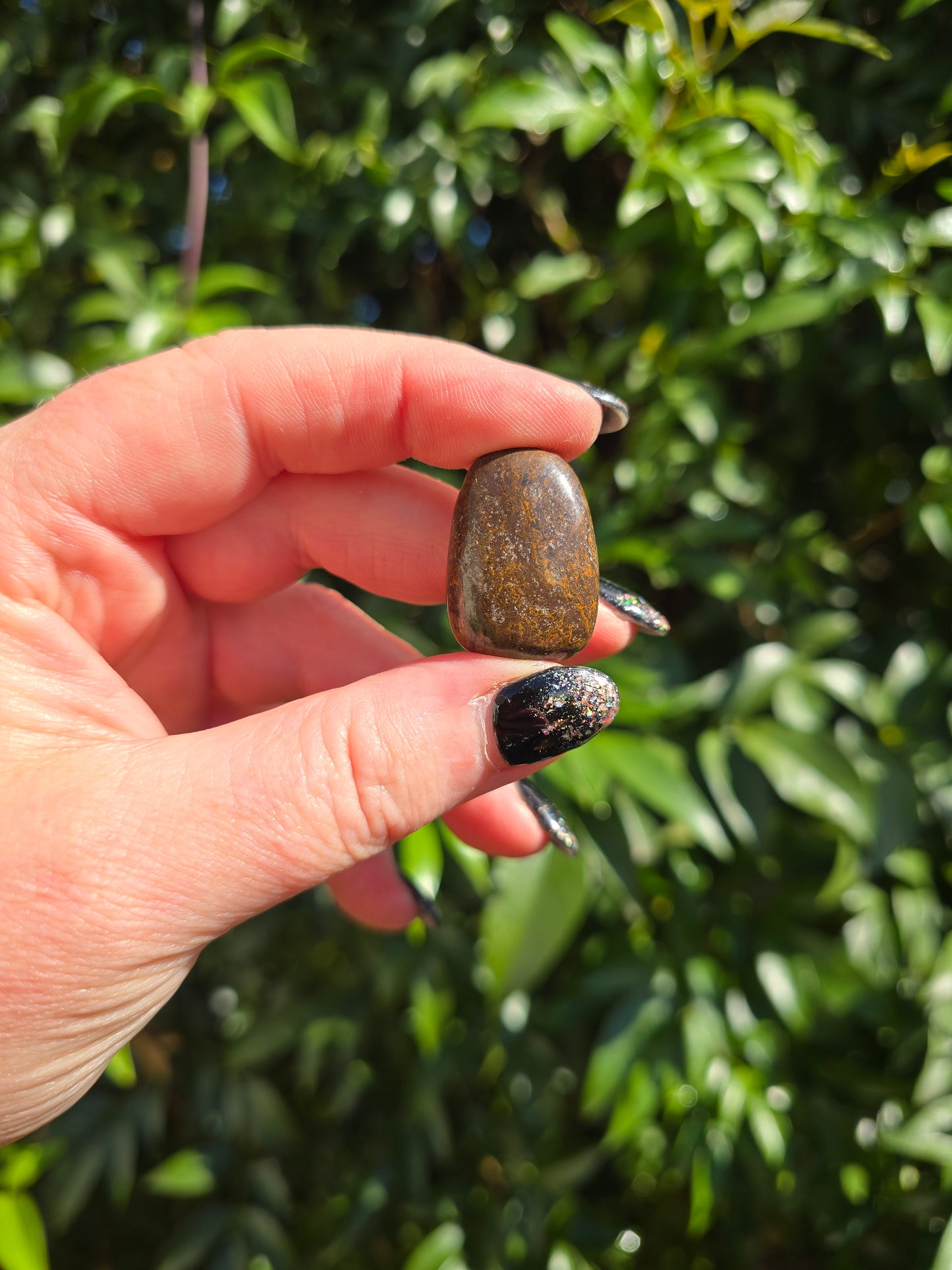 Stromatolite Tumbled Stone