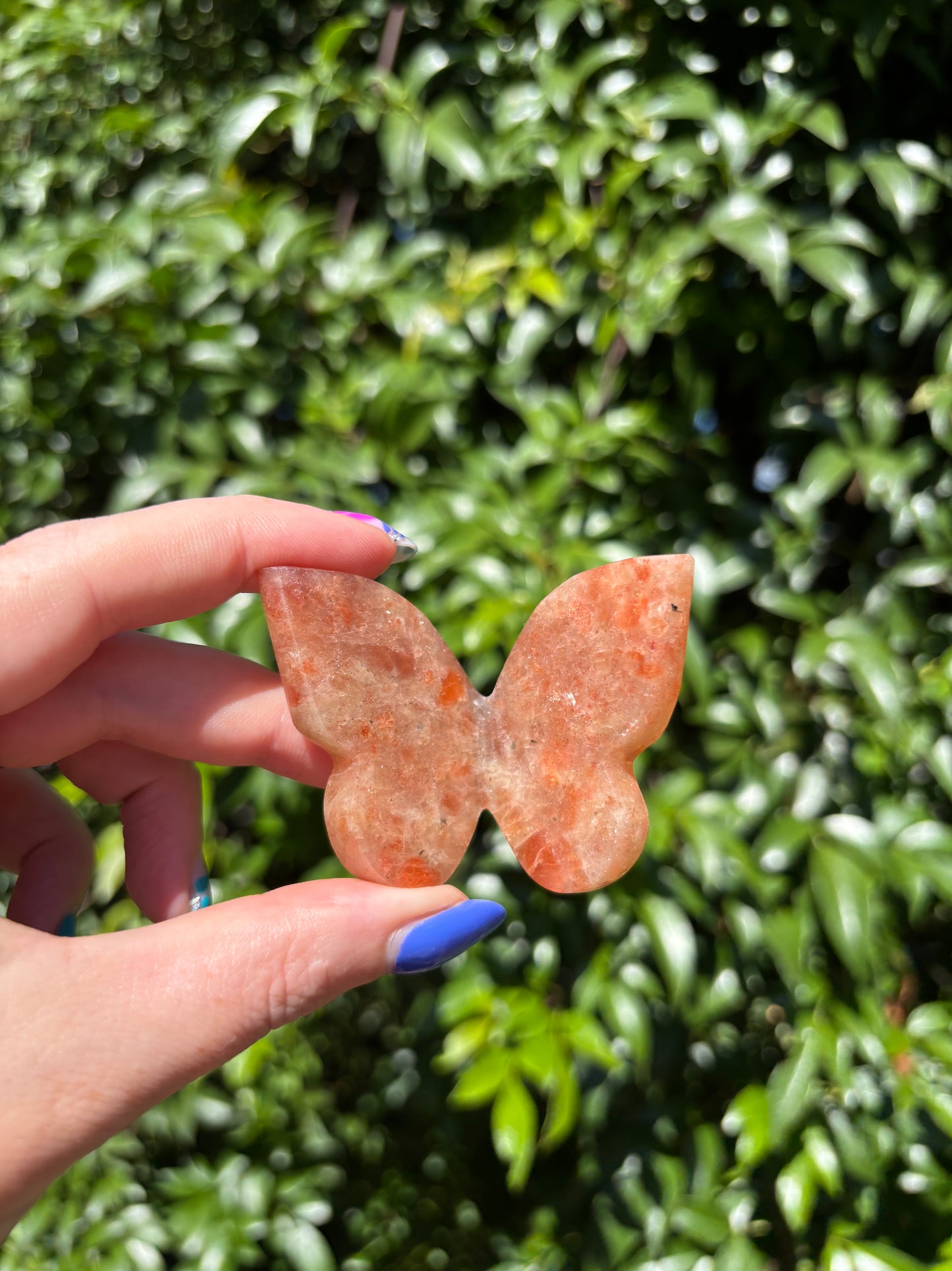 Sunstone Carved Butterfly B