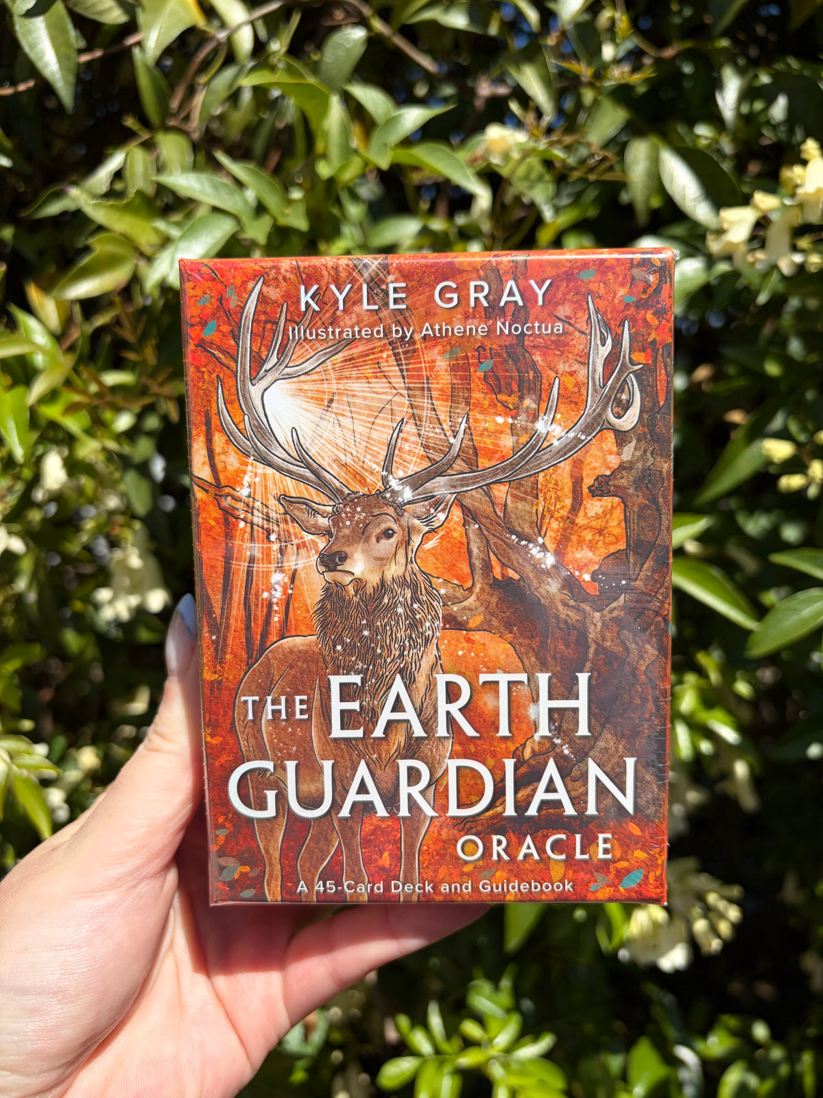 The Earth Guardian Oracle Cards