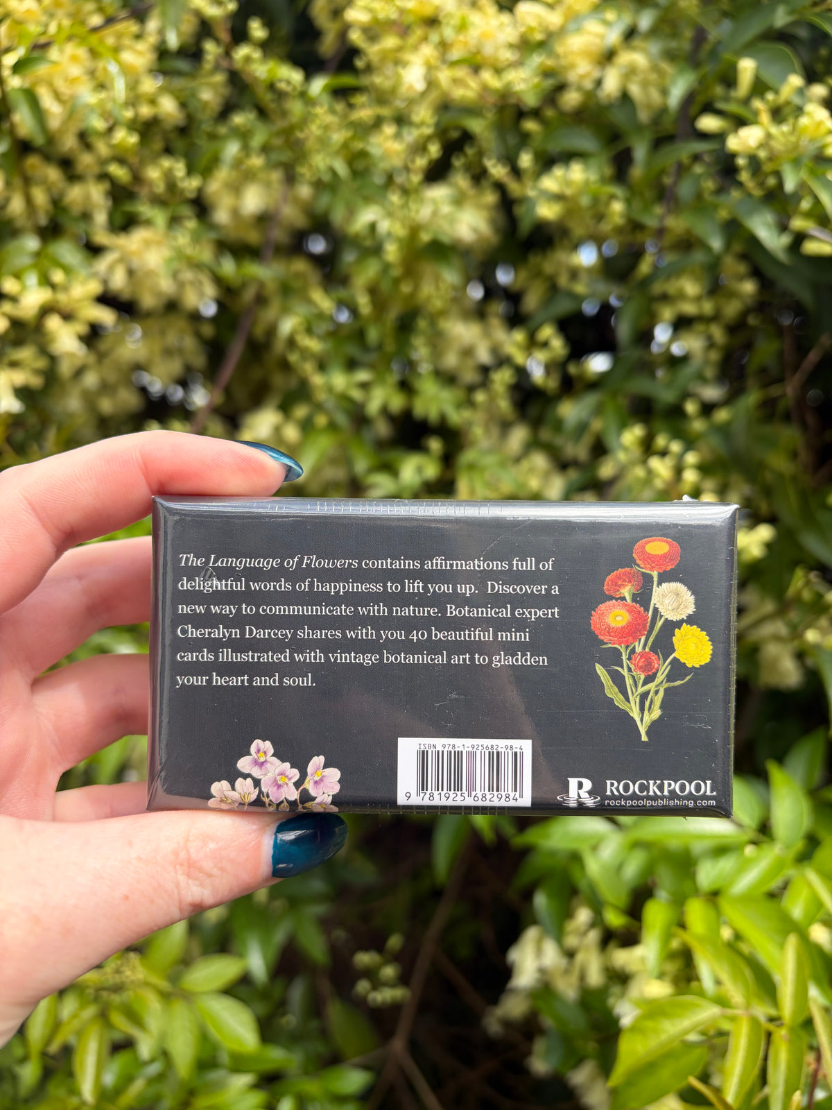 The Languages of Flowers Affirmation Cards