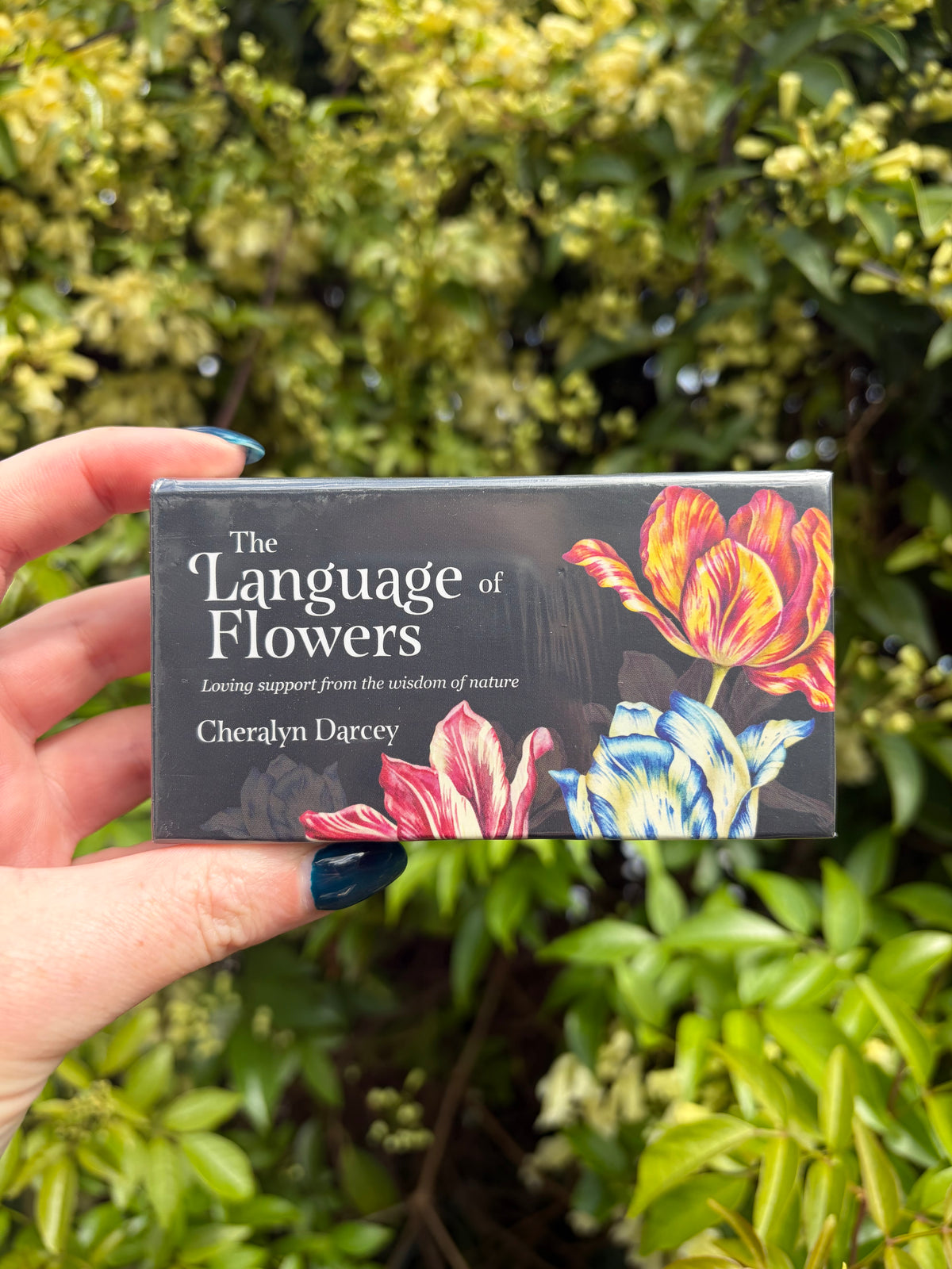 The Languages of Flowers Affirmation Cards