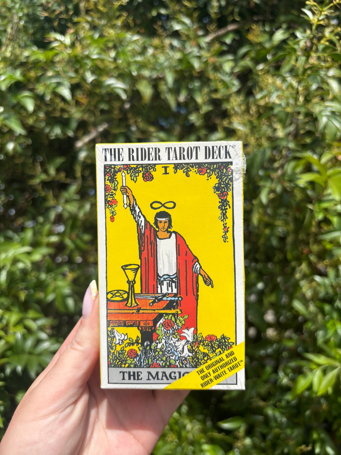 The Rider Waite Tarot Cards