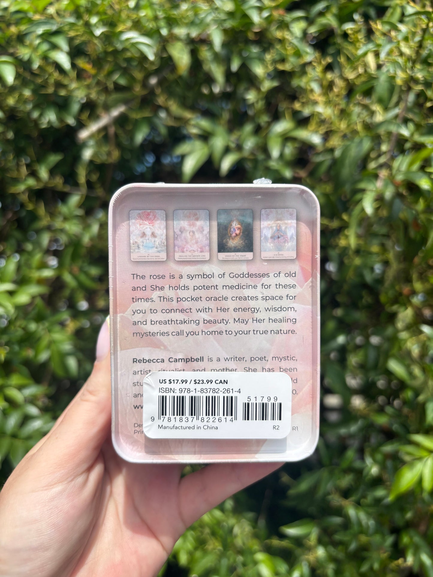 The Rose Pocket Oracle In Tin