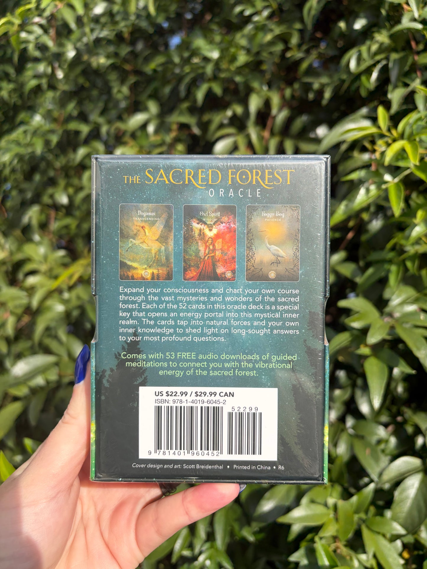 The Sacred Forest Oracle Cards