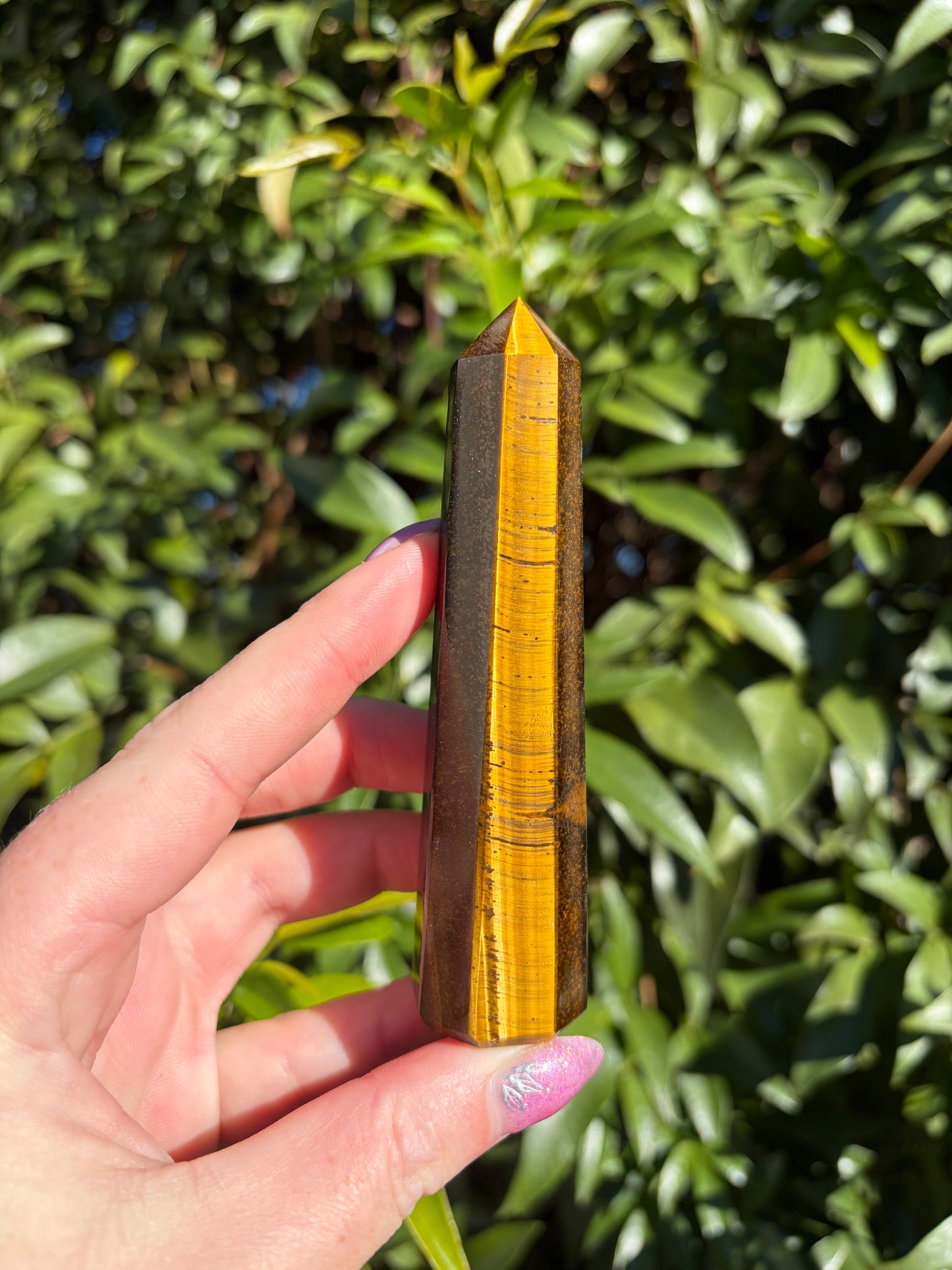 Tigers Eye Point A