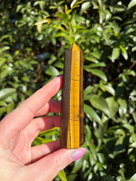 Tigers Eye Point A
