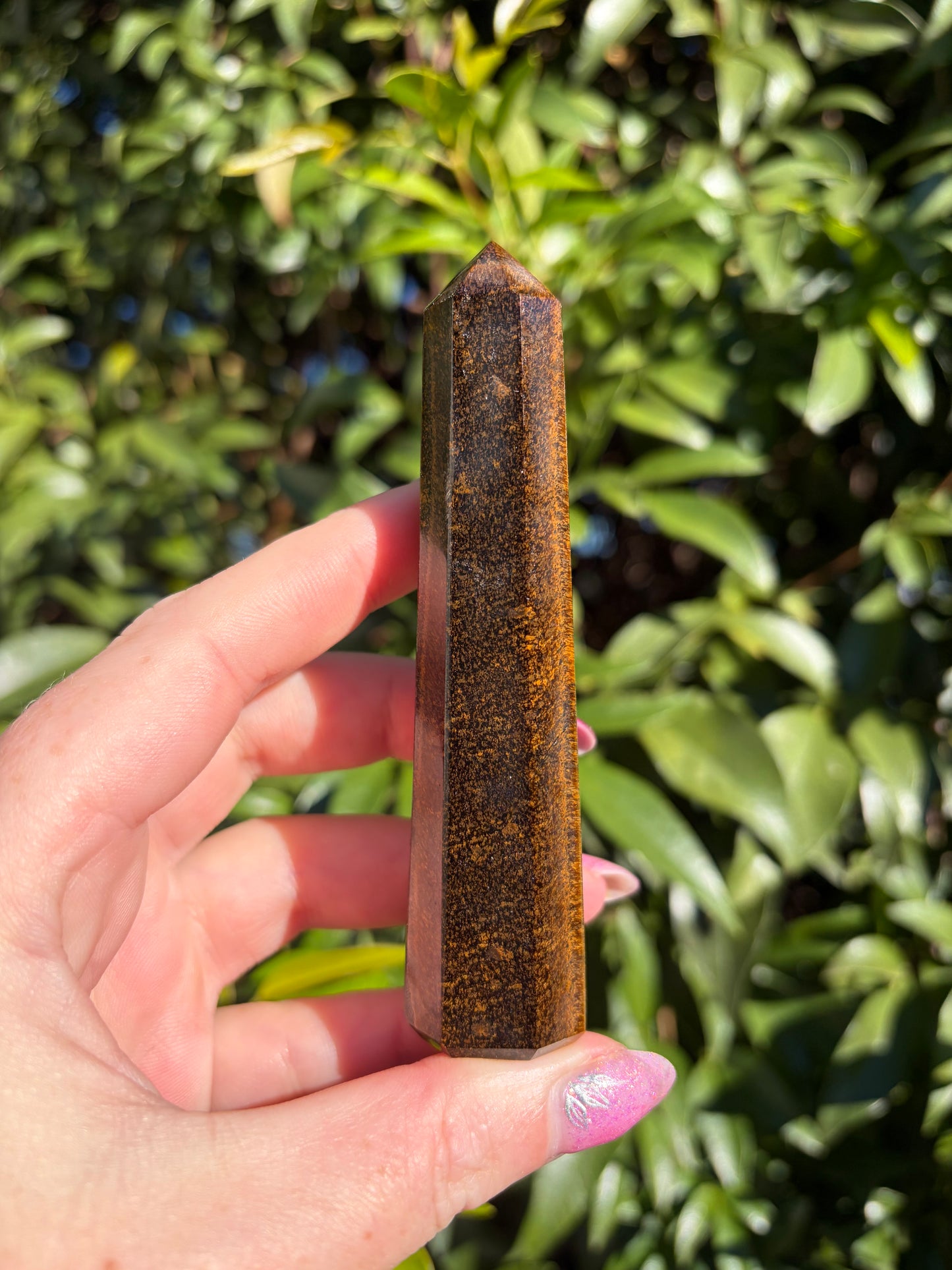 Tigers Eye Point B