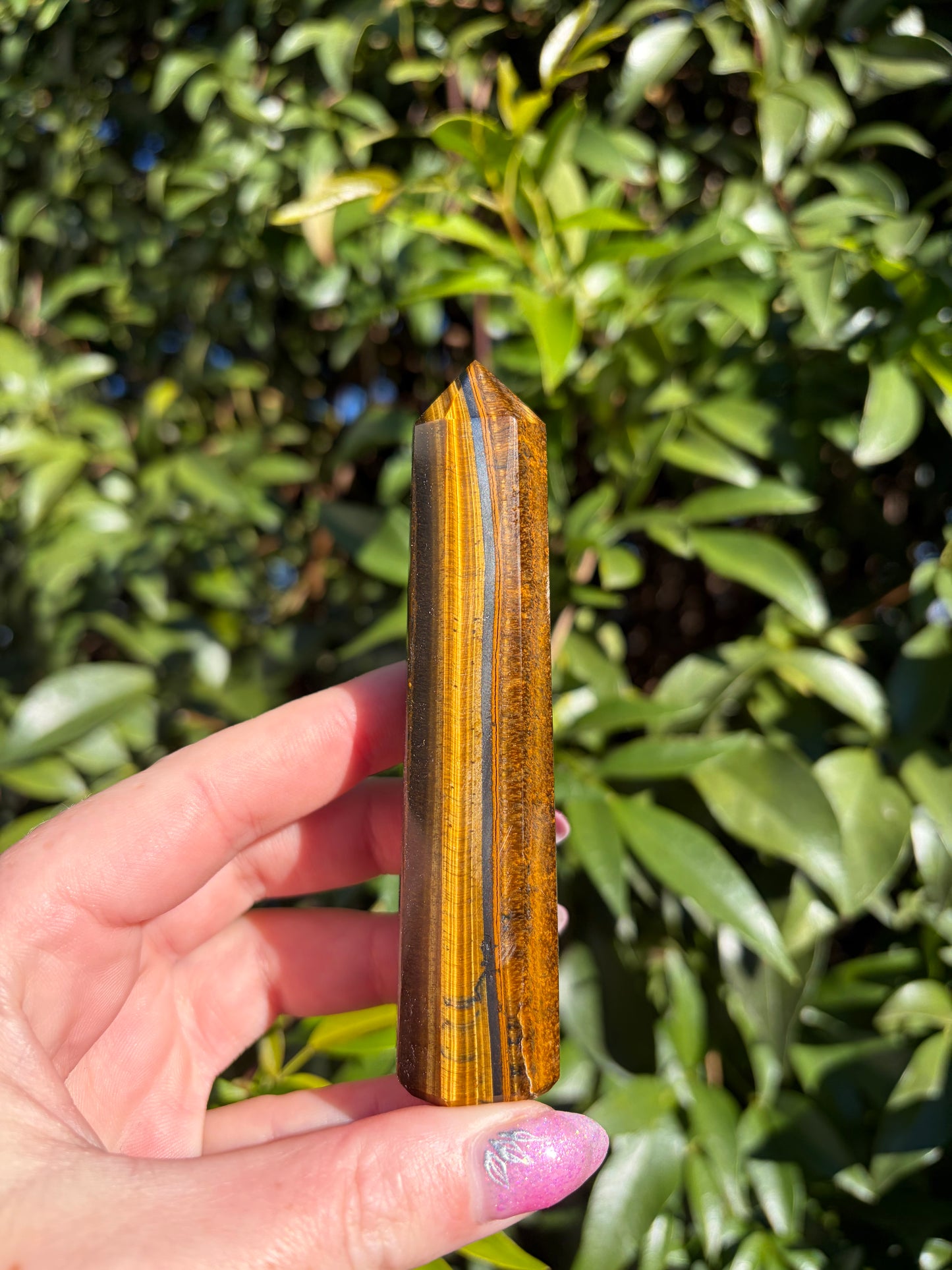 Tigers Eye Point B