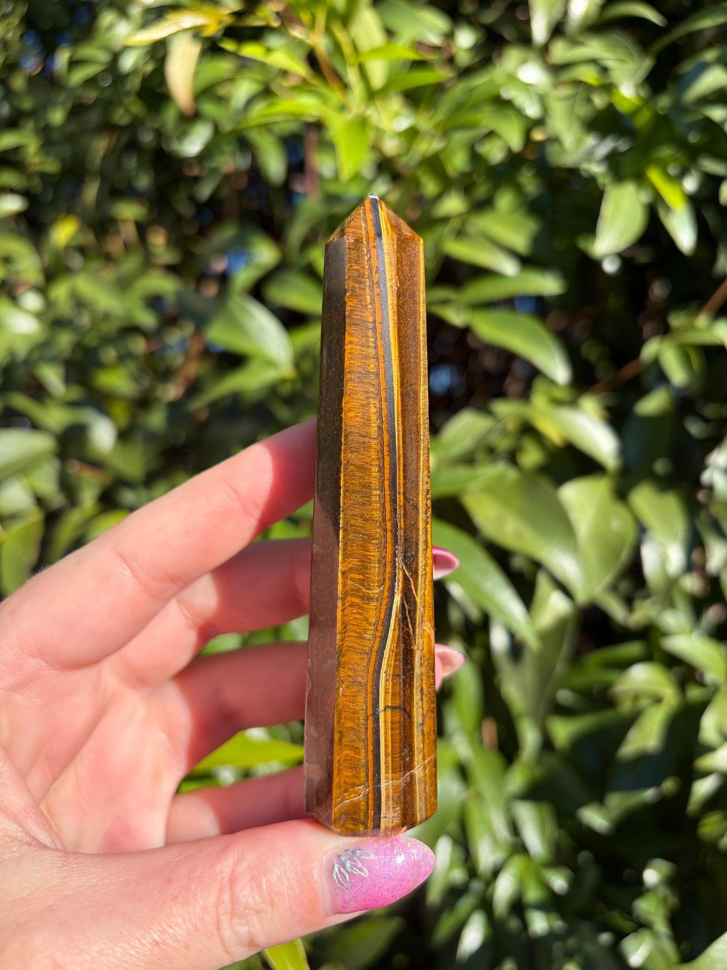 Tigers Eye Point C