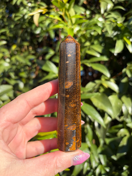 Tigers Eye Point C