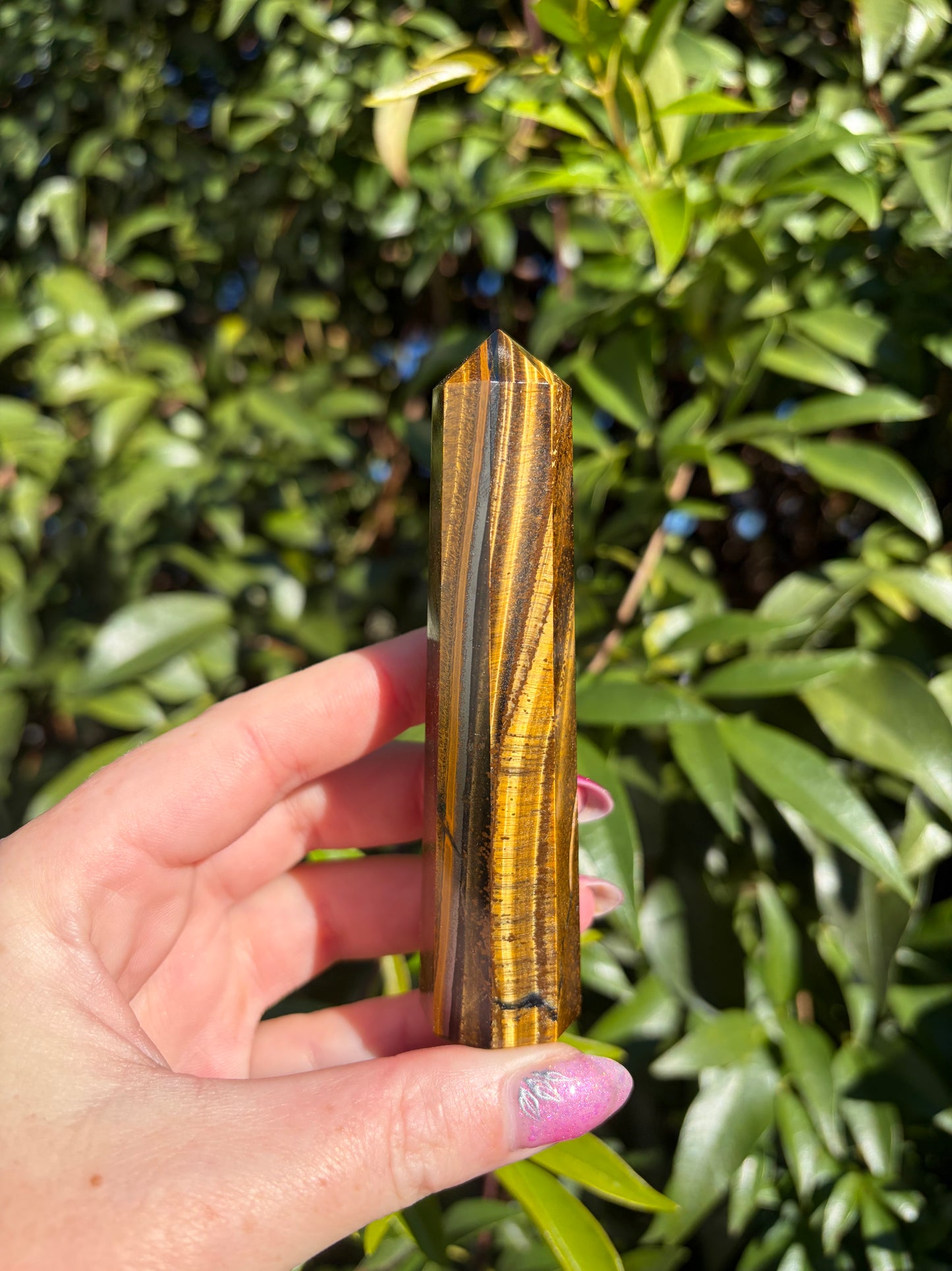Tigers Eye Point D