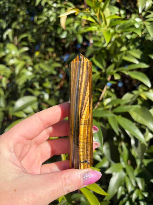 Tigers Eye Point D