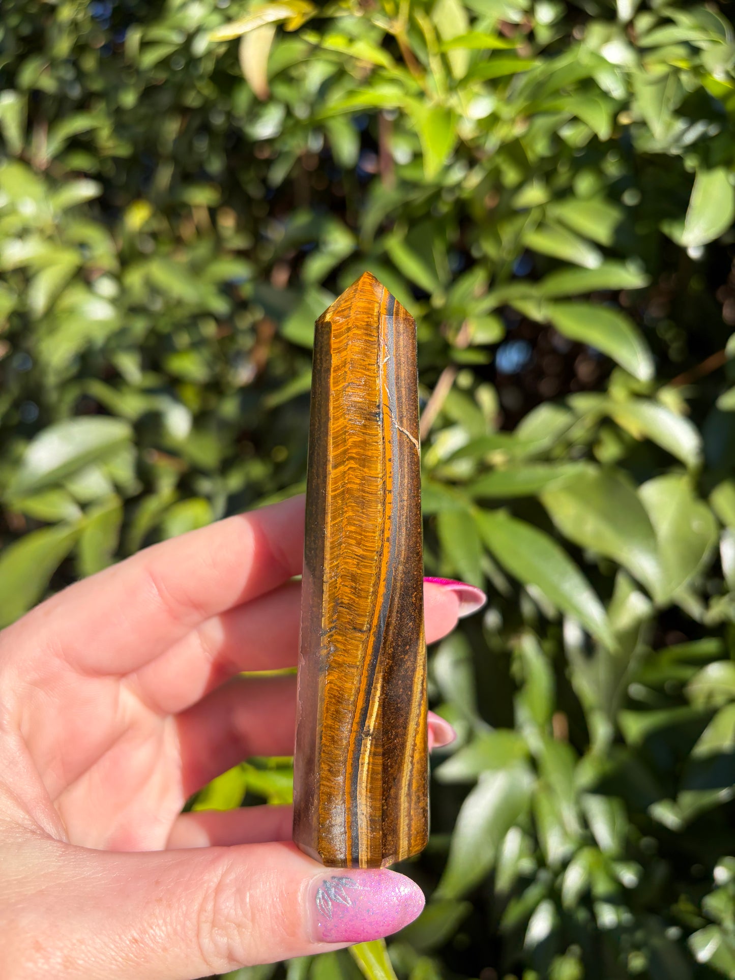 Tigers Eye Point E