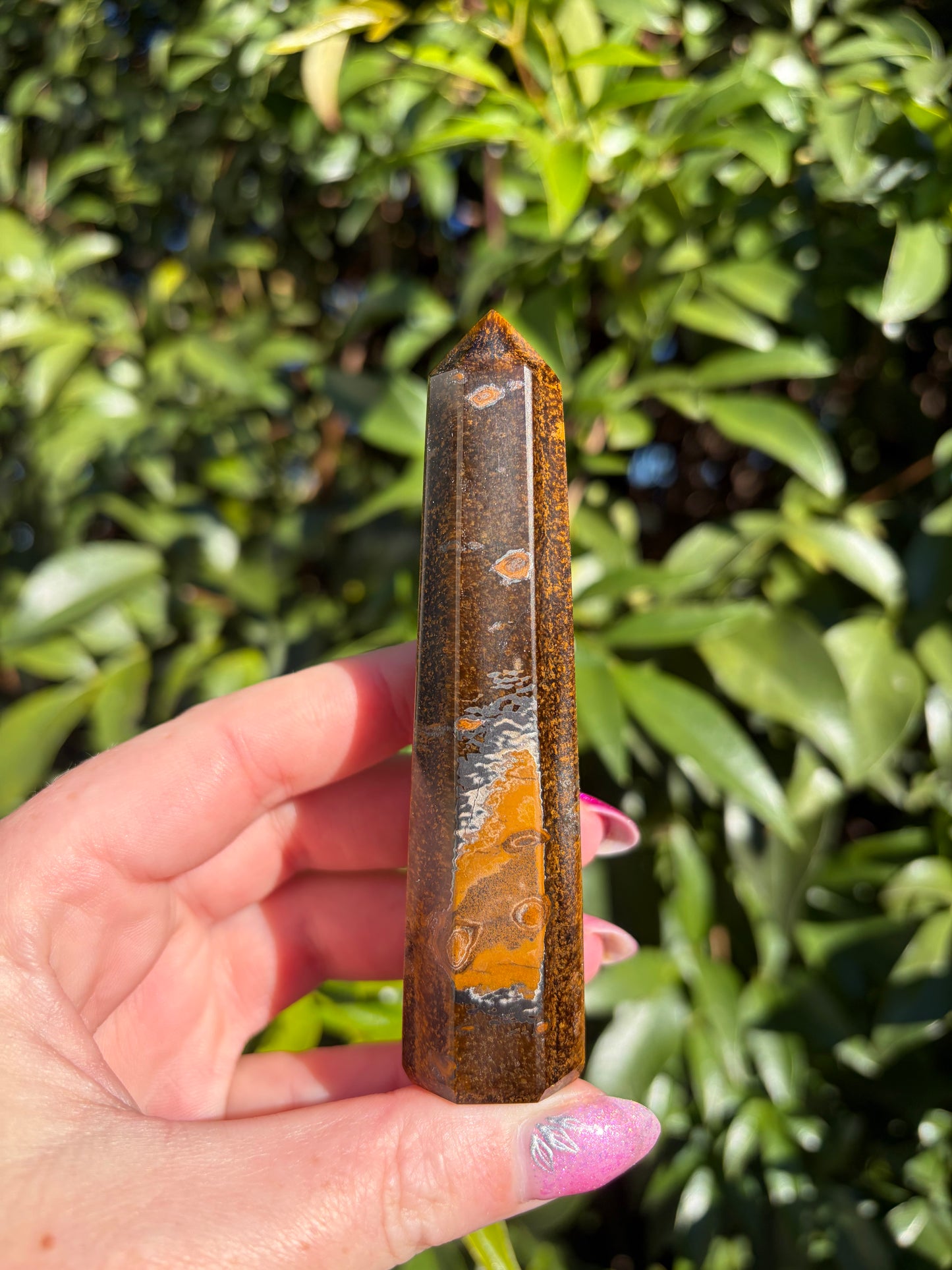Tigers Eye Point E