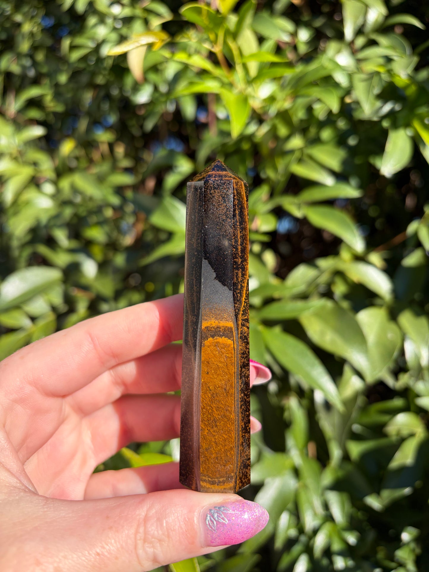 Tigers Eye Point F