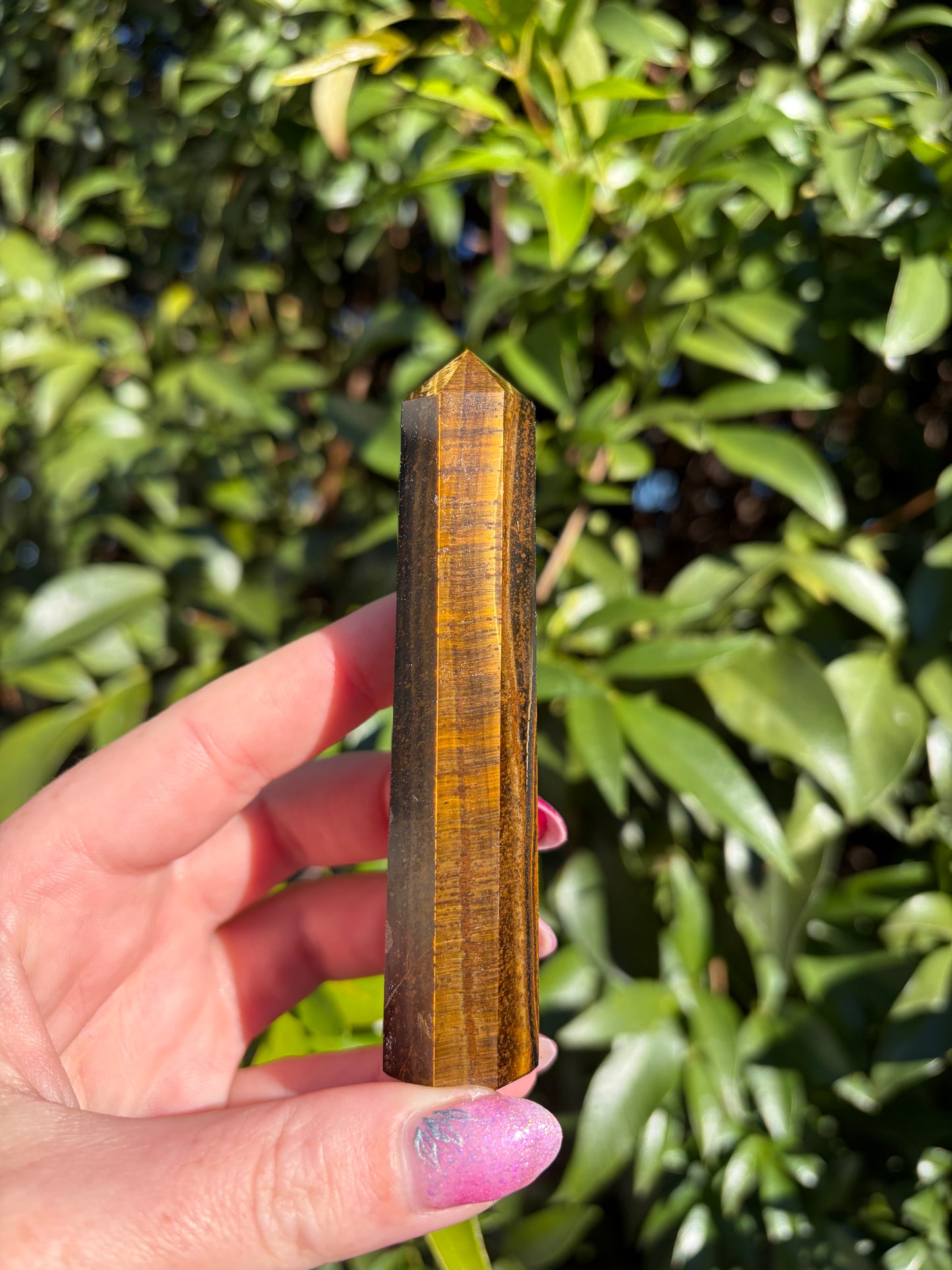 Tigers Eye Point F