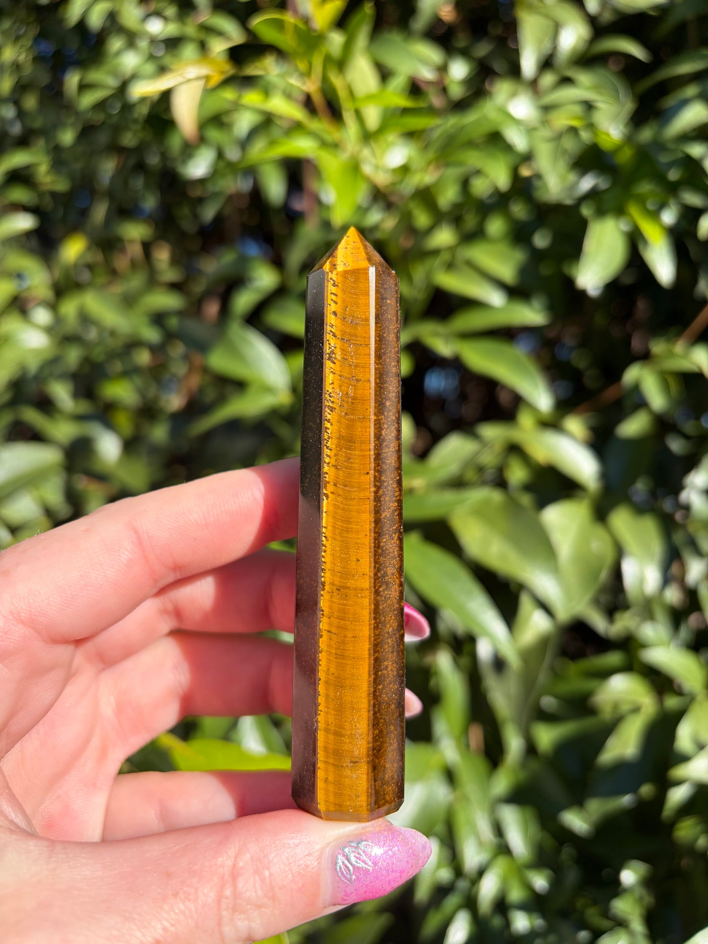 Tigers Eye Point G
