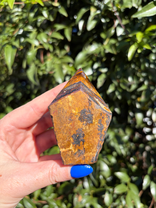Tigers Eye Semi Polished Point A