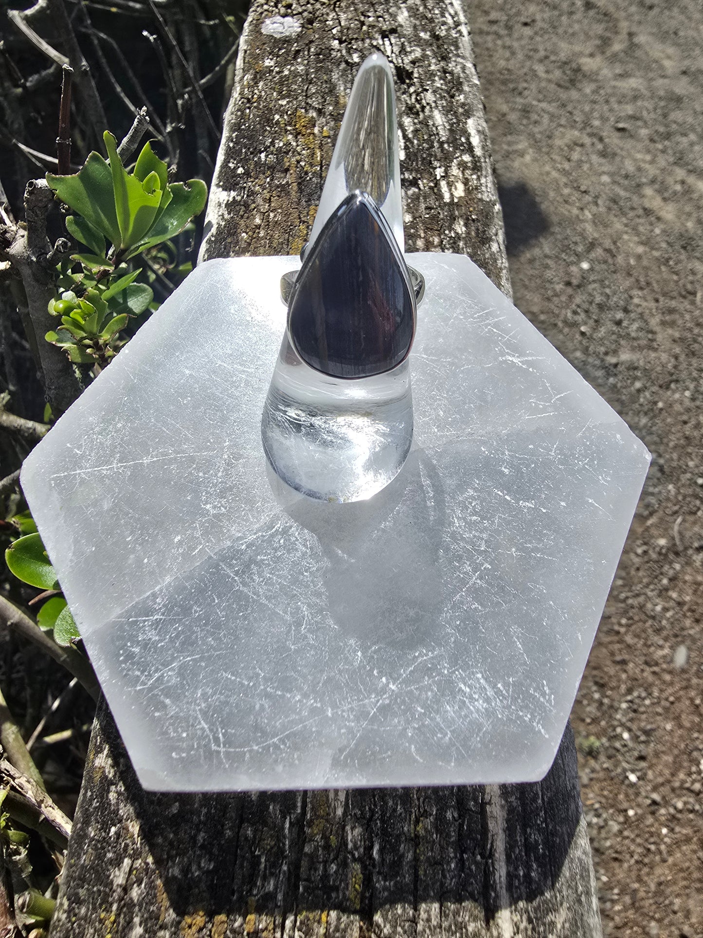 Tigers Iron | Polished Sterling Silver Adjustable Ring B