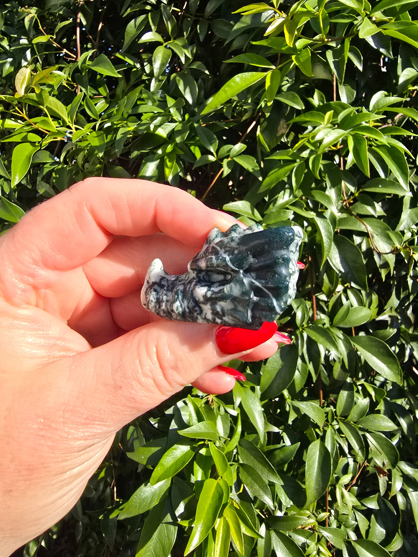 Green Tree Agate Dragon Head Skull
