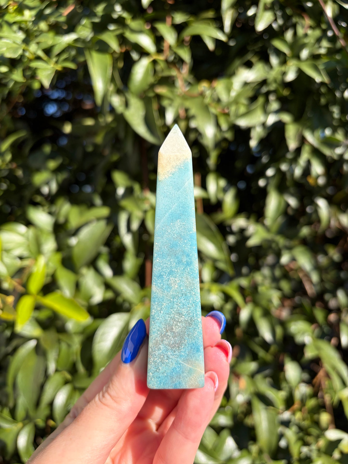 Trolleite Polished Point A