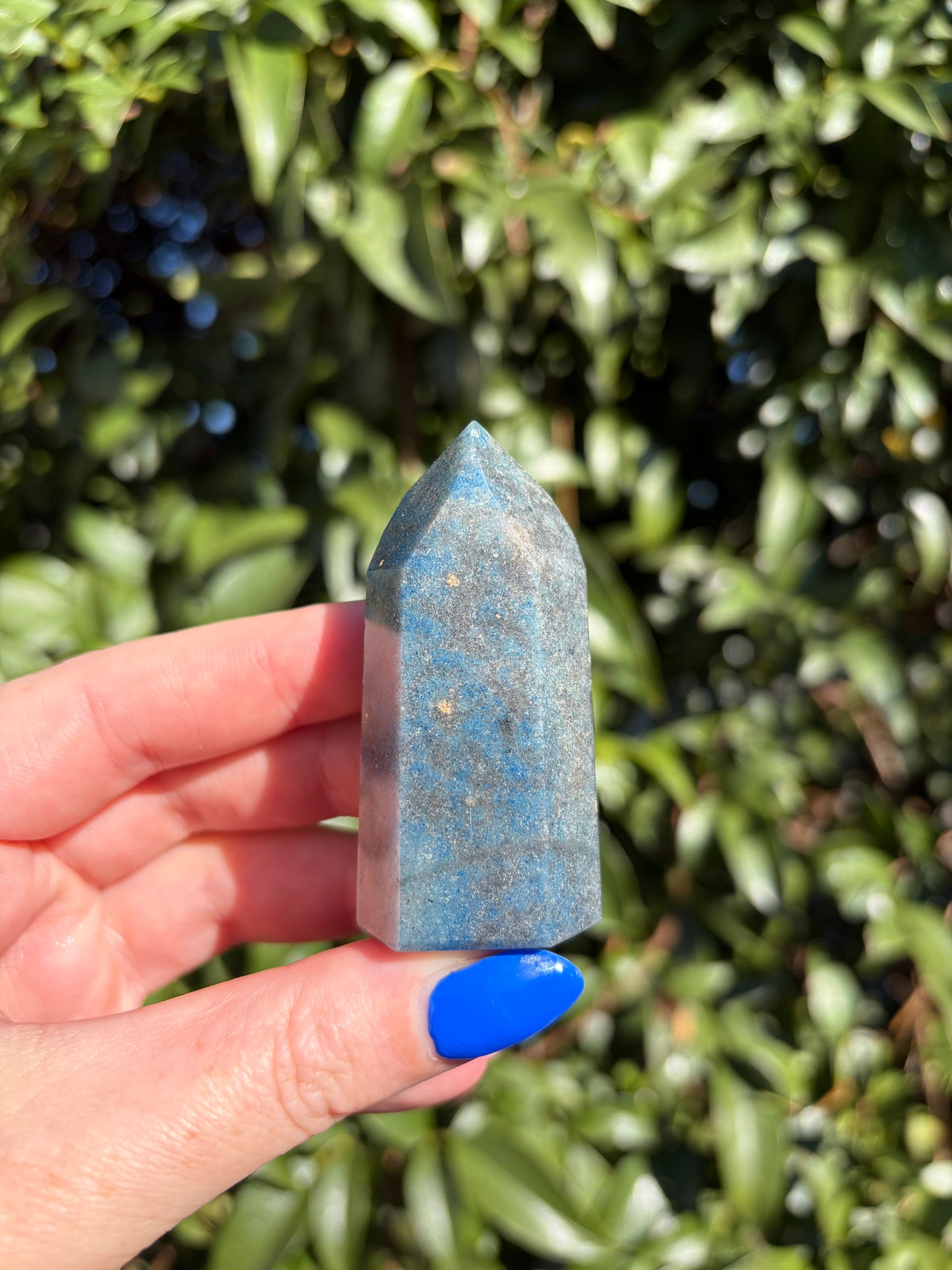 Trolleite Polished Point D