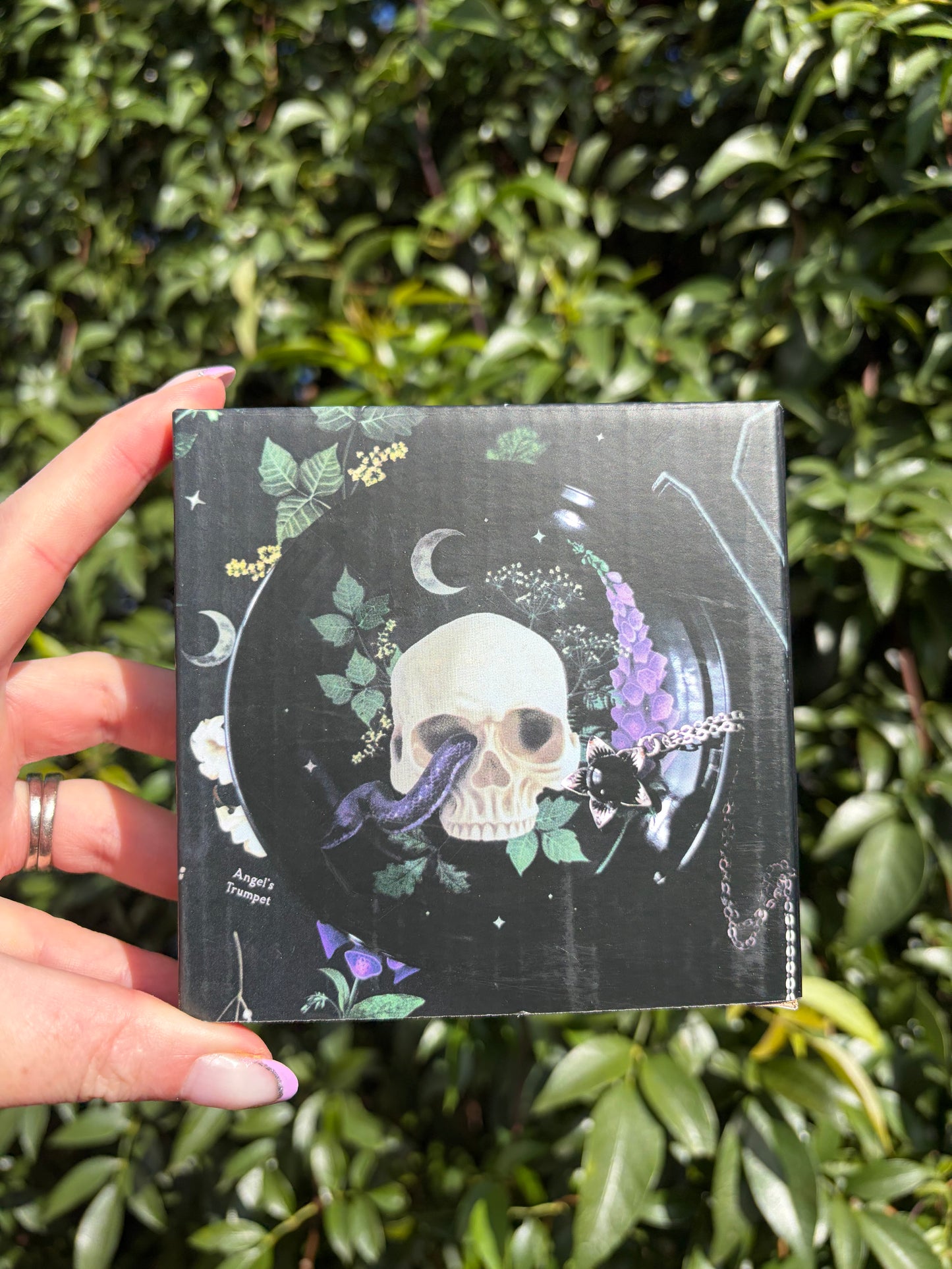 Venom & Vines Skull Ceramic Trinket Dish