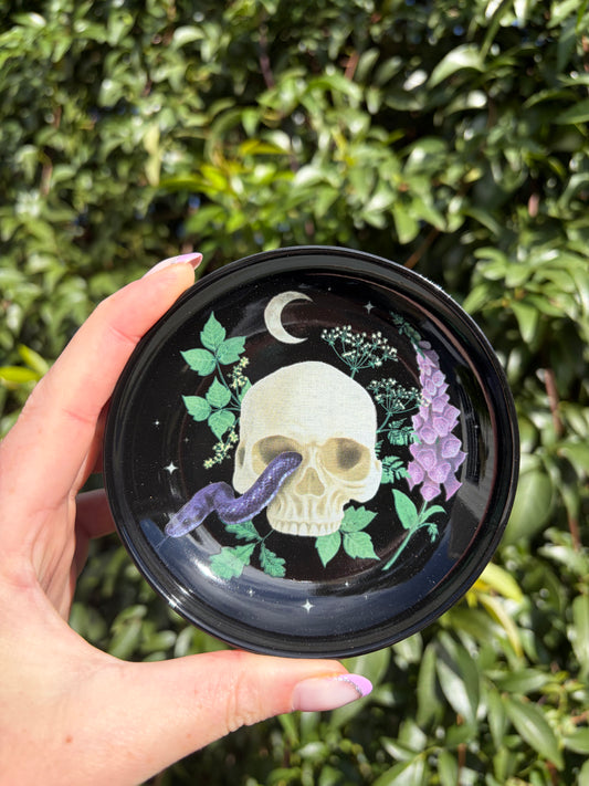 Venom & Vines Skull Ceramic Trinket Dish