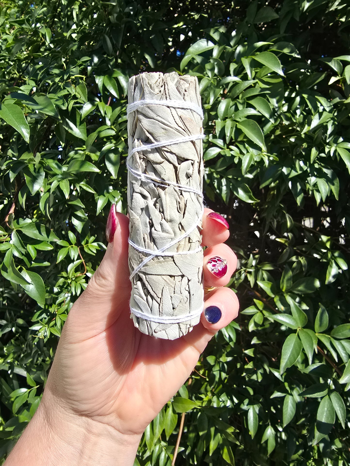 White Sage & 5x Palo Santo Stick Bundle