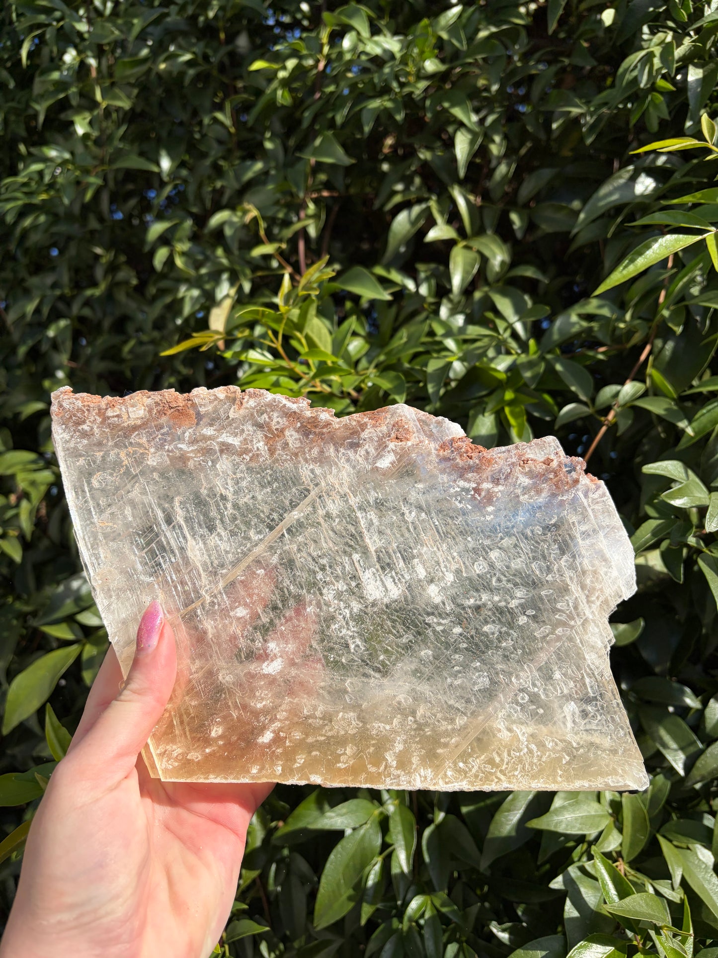 Window Selenite Piece E