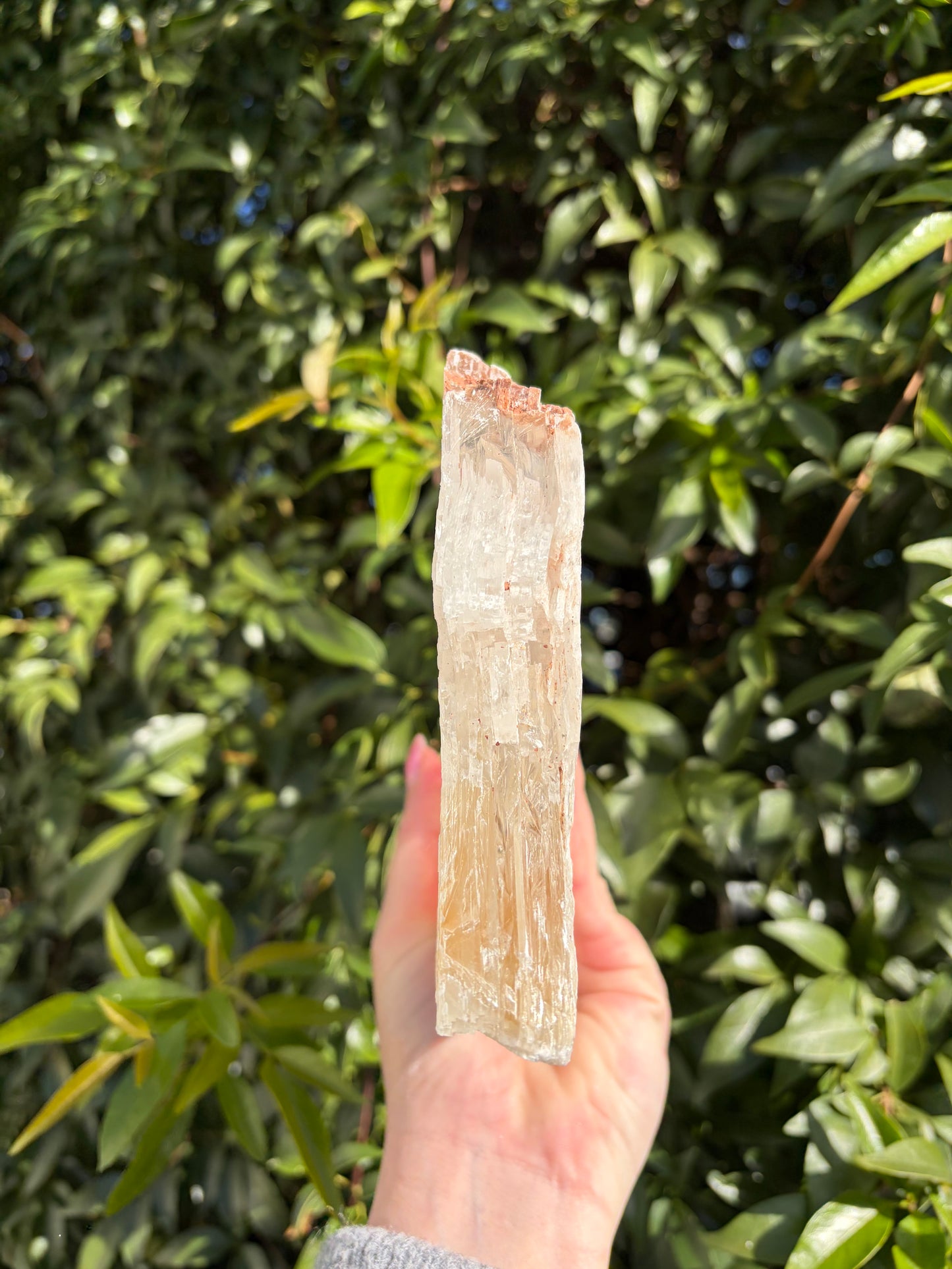 Window Selenite Piece E