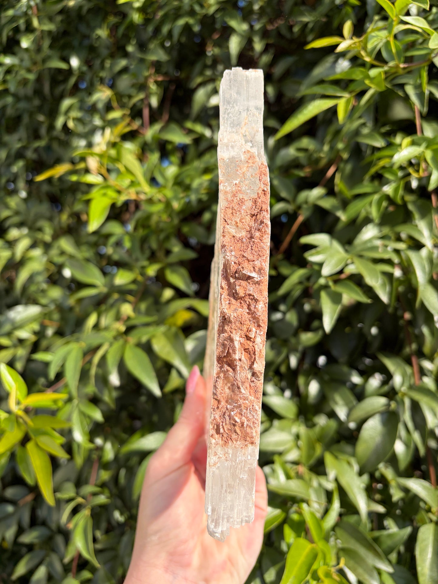 Window Selenite Piece G